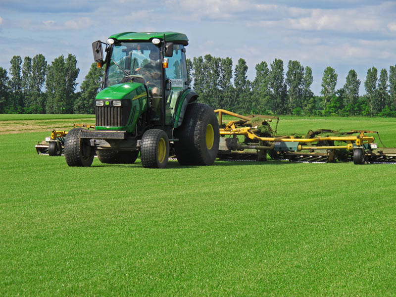 Mowing