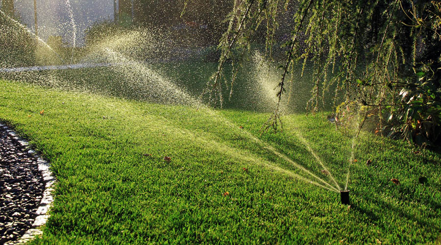 Watering