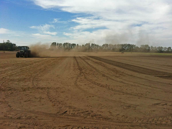 Growing soil