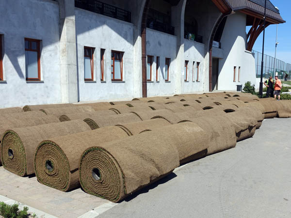 Big rolls