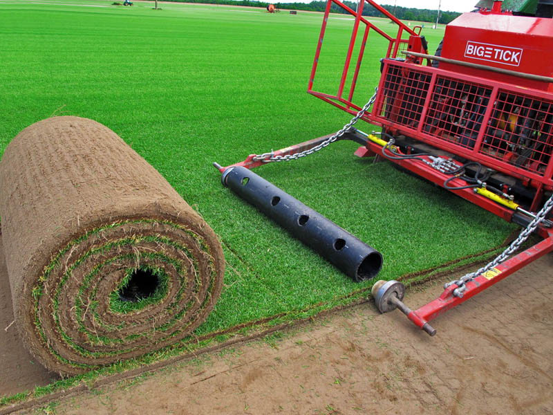 Big roll