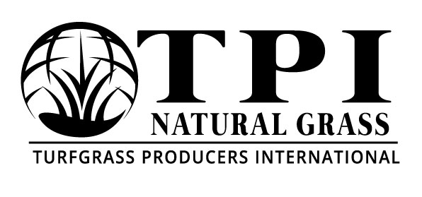 TPI